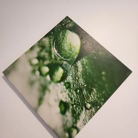 Apartman Lafe, Paisible